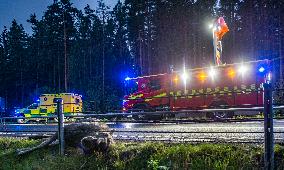 ÄLGOLYCKA SÖDER OM AVESTA