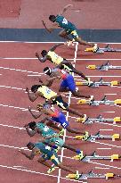Athletics: World championships in Tokyo
