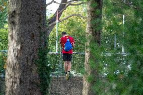 MOTORI - Auto Storiche - 9° Historic Minardi Day