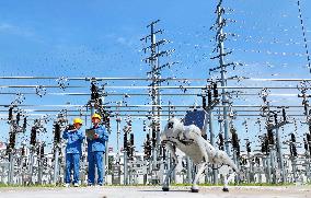 5G Quadruped Intelligent Inspection Robot