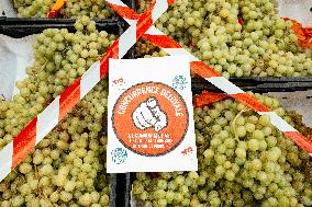 Farmers Protest in Supermarkets - France