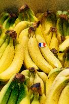 Farmers Protest in Supermarkets - France