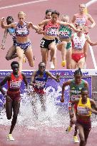 Athletics: World championships in Tokyo