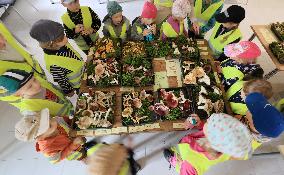 Mushroom exhibition