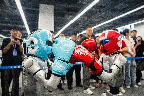Internet Yuelu Summit 2025 - Changsha