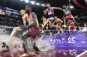 Athletics: World championships in Tokyo