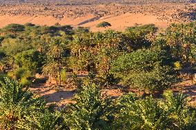 Illustration - Mauritania