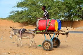 Illustration - Mauritania