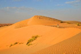 Illustration - Mauritania