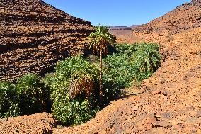 Illustration - Mauritania