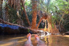 Illustration - Mauritania