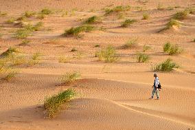 Illustration - Mauritania