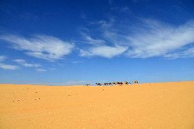 Illustration - Mauritania