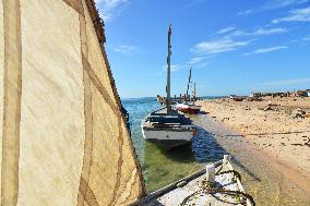 Illustration - Mauritania