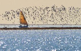 Illustration - Mauritania