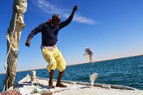 Illustration - Mauritania