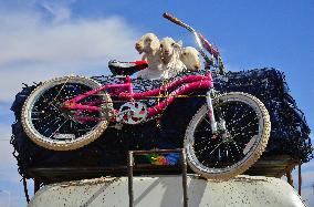 Illustration - Mauritania