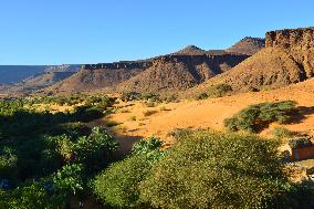 Illustration - Mauritania