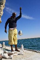 Illustration - Mauritania