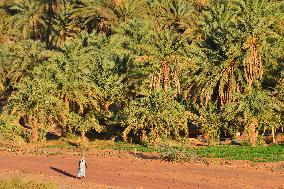 Illustration - Mauritania