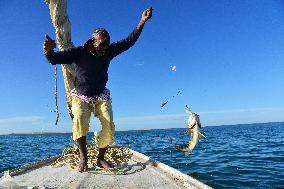 Illustration - Mauritania