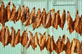 Illustration - Mauritania