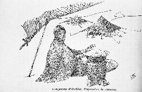 Illustration - Mauritania