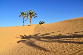 Illustration - Mauritania