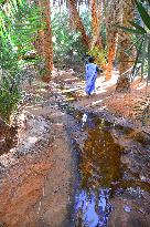 Illustration - Mauritania