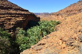 Illustration - Mauritania