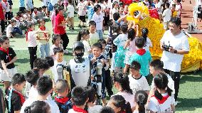 Primary School Science Popularization Education