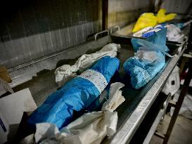 Children Die Amid Malnutrition in Khan Yunis - Palestine