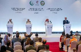 Emergency Arab-Islamic Summit - Qatar