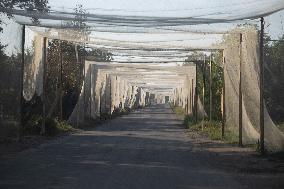 Anti-Drone Systems in Ukraine