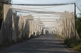 Anti-Drone Systems in Ukraine