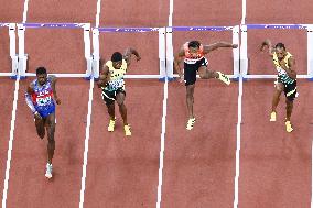 Athletics: World championships in Tokyo