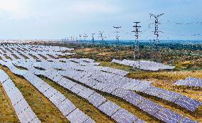 Sandy Area Ecosystem in Ordos