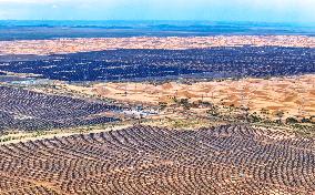 Sandy Area Ecosystem in Ordos