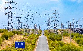 Sandy Area Ecosystem in Ordos