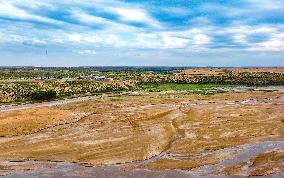 Sandy Area Ecosystem in Ordos