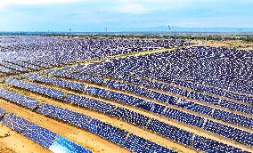 Sandy Area Ecosystem in Ordos