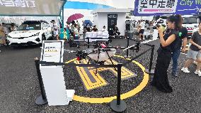 Low-altitude Economy