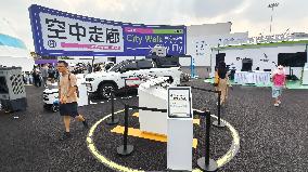 Low-altitude Economy