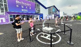 Low-altitude Economy