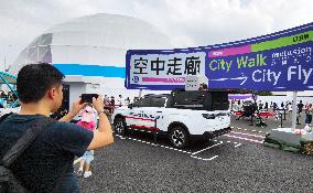 Low-altitude Economy