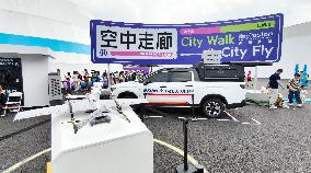 Low-altitude Economy