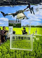 Low-altitude Economy