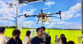 Low-altitude Economy