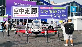 Low-altitude Economy