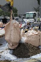 Fukushima soil used for METI flower bed
